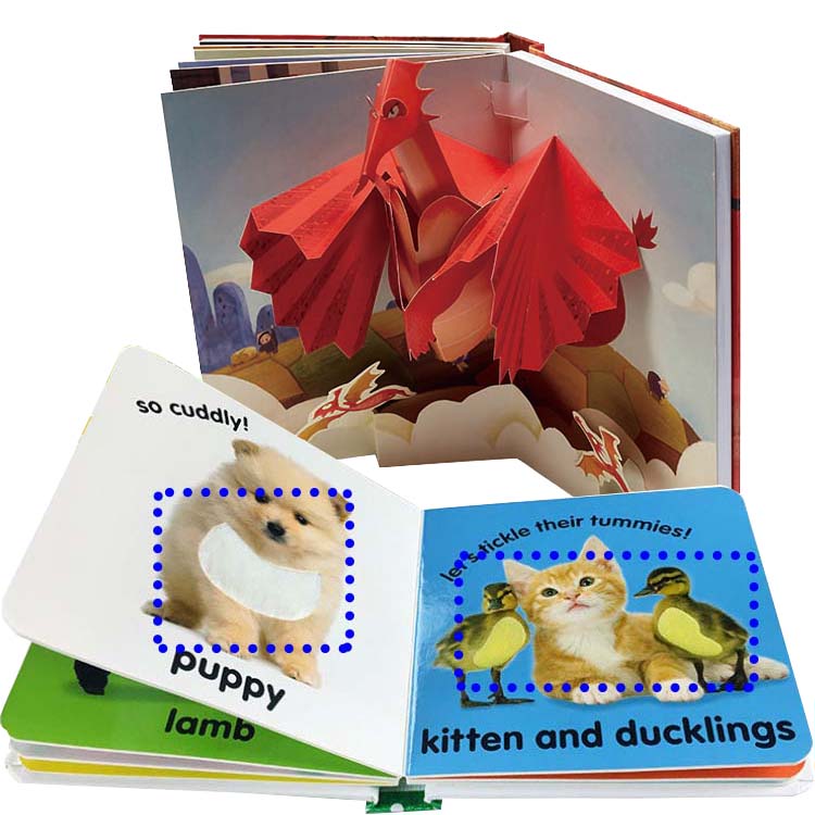 3D Book/Touch And Feel Book