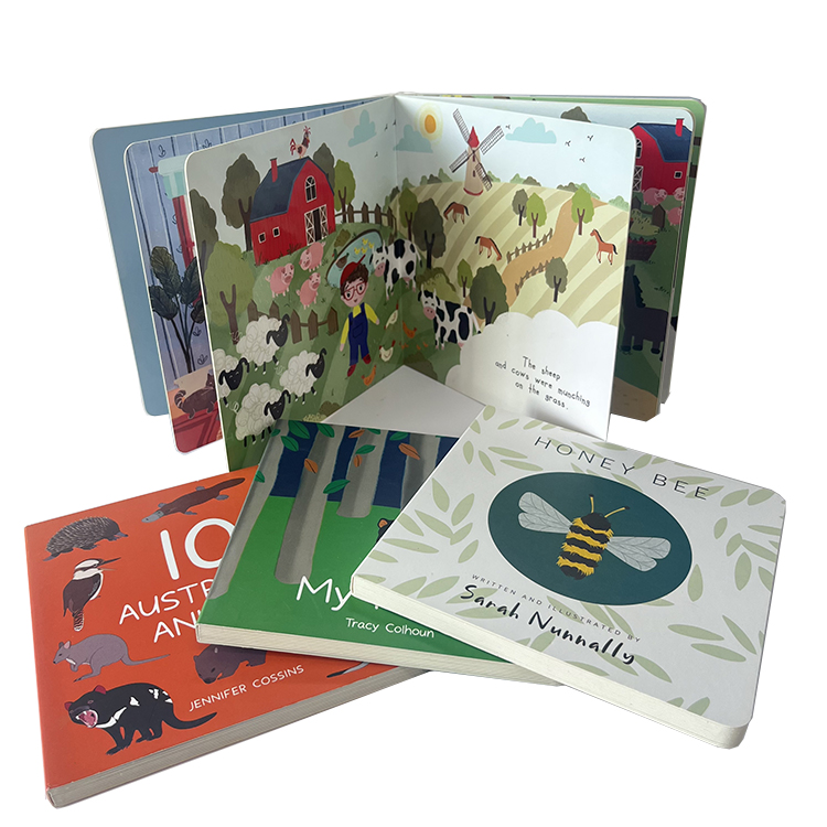 Board Book
